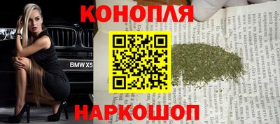прущие крисы Обь