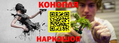 прущие крисы Обь